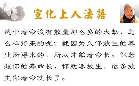 宣化上人爭議|[討論] 宣化上人為什麼要認為不男之人是廢物